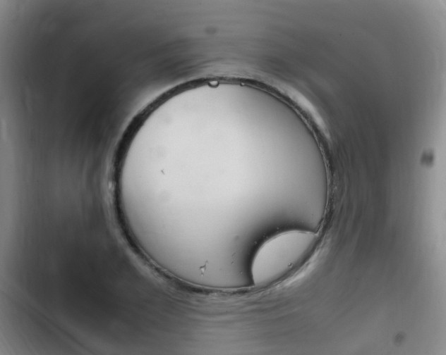 X0000102760981200808180927