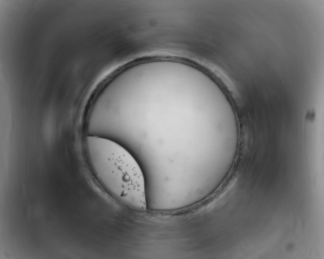 X0000102760982200808180927