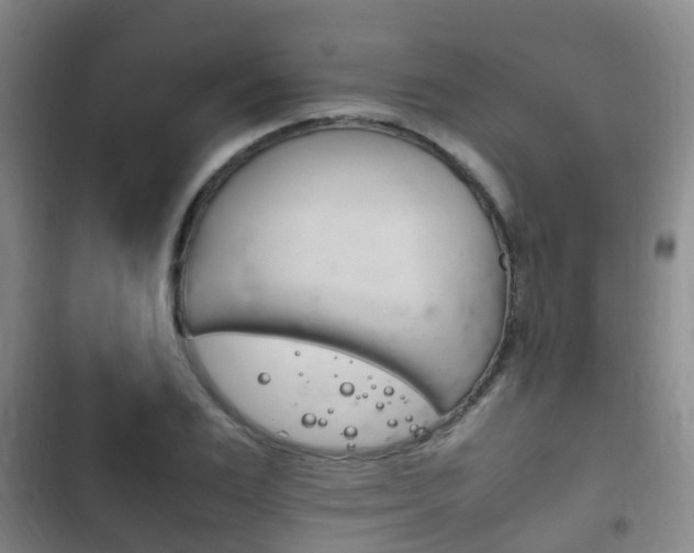 X0000102760983200808180927