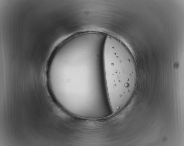 X0000102760987200808180927