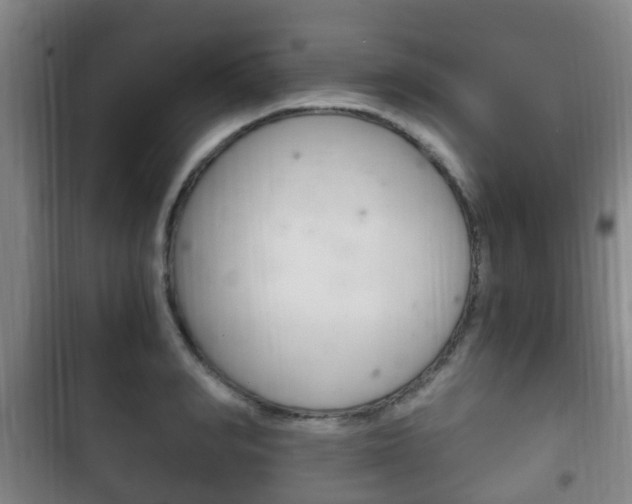 X0000102760990200808180927