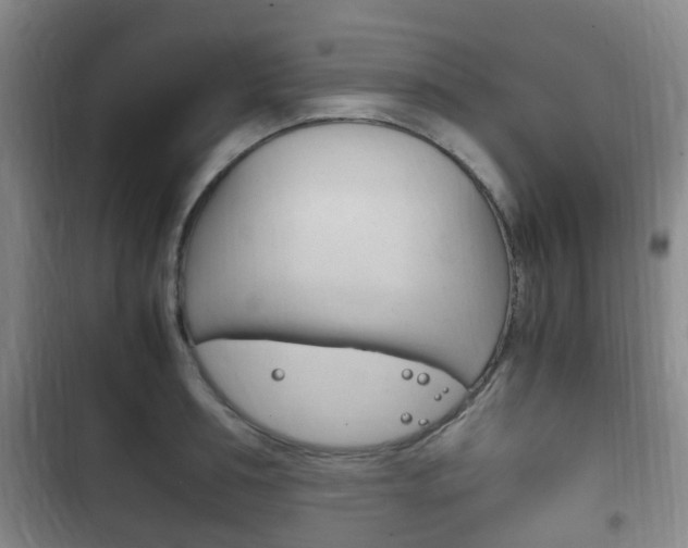 X0000102760994200808180927
