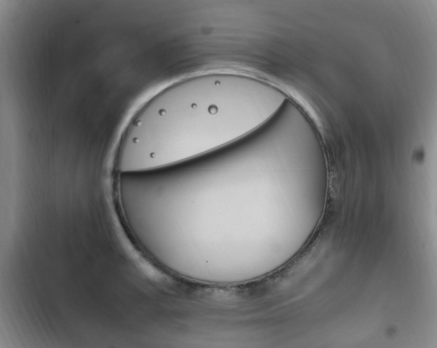 X0000102760995200808180927