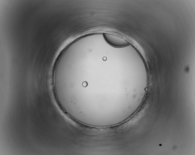 X0000102760997200808180927