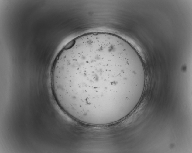 X0000102760998200808180927