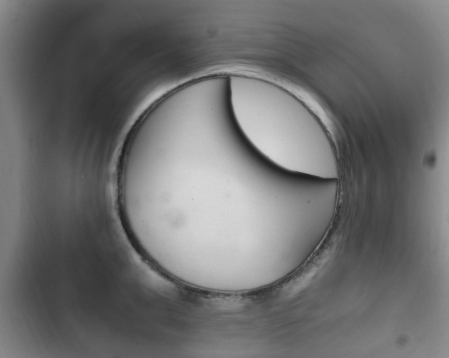 X0000102760999200808180927