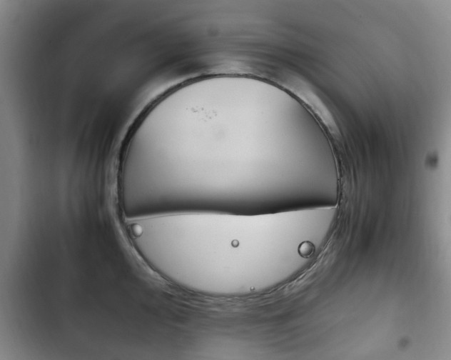 X0000102761000200808180927