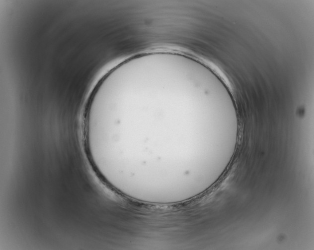 X0000102761003200808180927