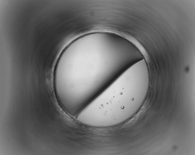X0000102761004200808180927