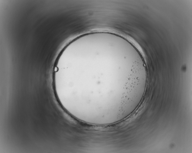 X0000102761005200808180927