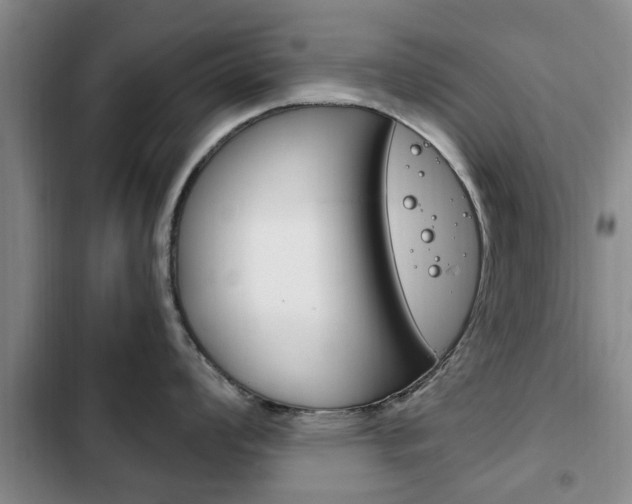 X0000102761008200808180927