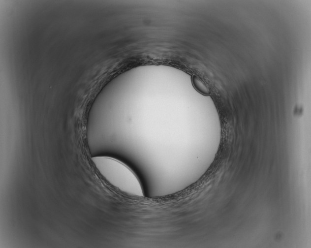 X0000102761009200808180926