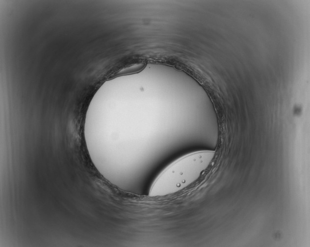 X0000102761010200808180926
