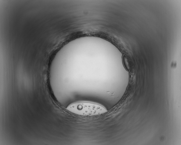 X0000102761012200808180926