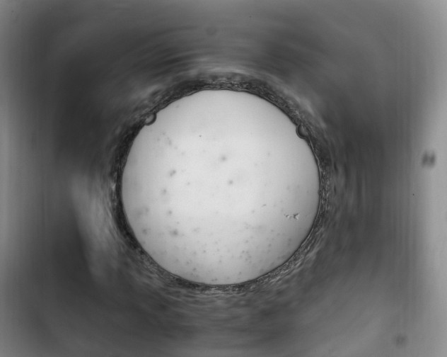 X0000102761013200808180926