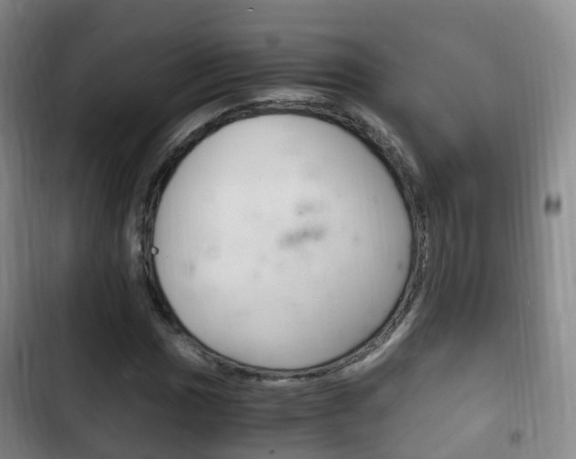 X0000102761017200808180926