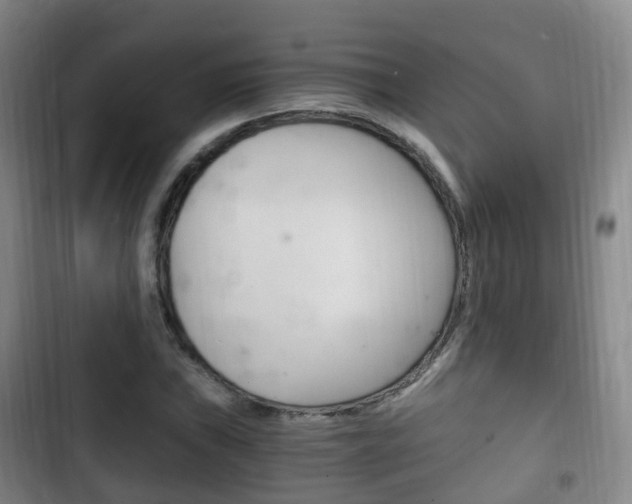 X0000102761019200808180926