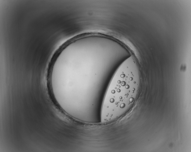 X0000102761020200808180926