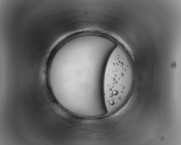 X0000102761021200808180926