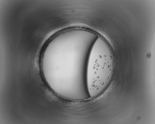 X0000102761022200808180926