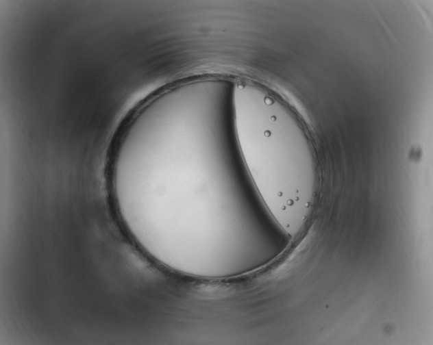 X0000102761026200808180926