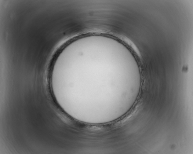 X0000102761027200808180926