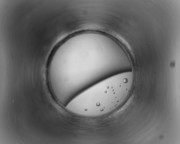X0000102761029200808180926