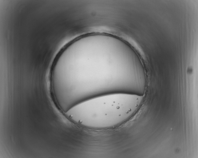 X0000102761032200808180926
