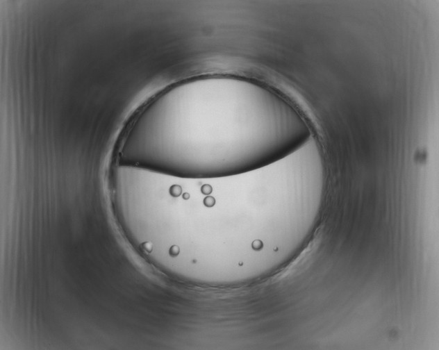 X0000102761034200808180926