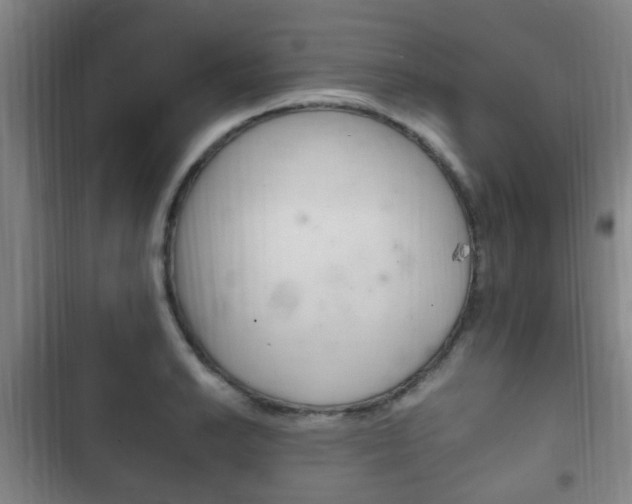 X0000102761038200808180927