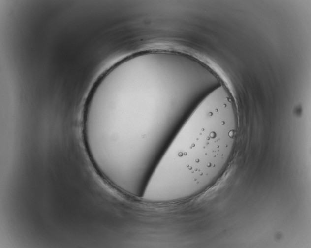 X0000102761045200808180927