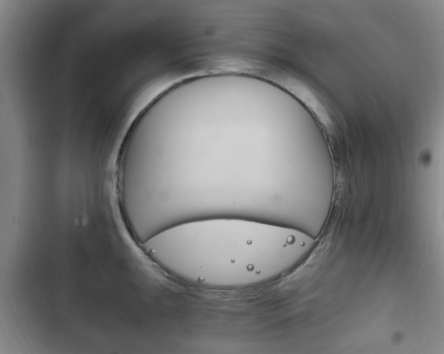X0000102761047200808180927