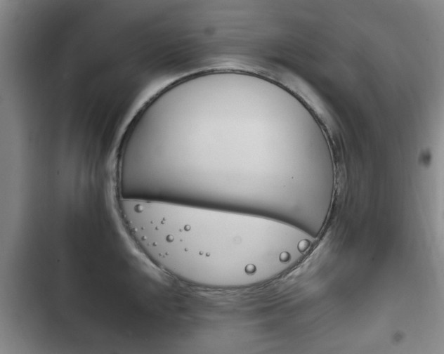 X0000102761048200808180927