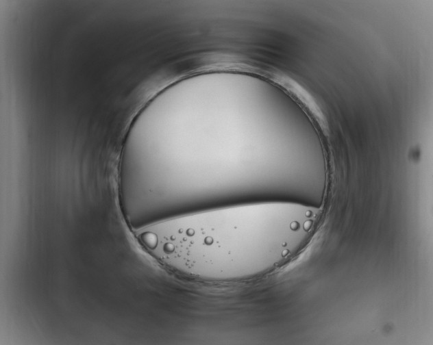 X0000102761049200808180927
