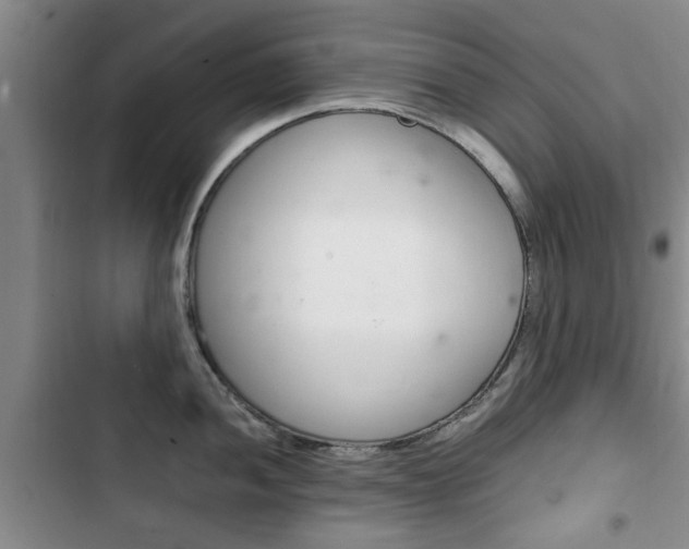 X0000102761052200808180927