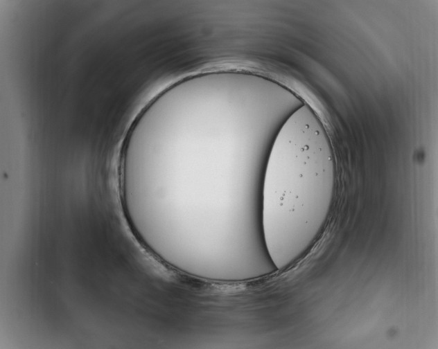 X0000102761055200808180927