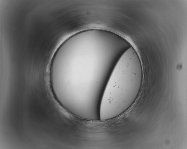 X0000102761056200808180927