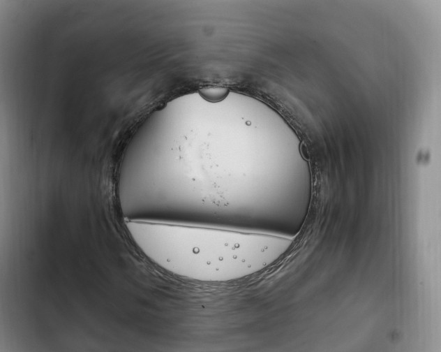 X0000102761058200808180926