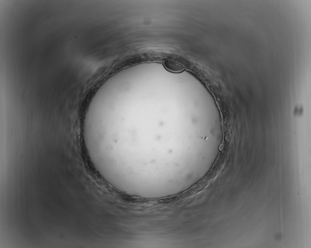 X0000102761061200808180926