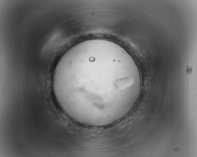 X0000102761062200808180926