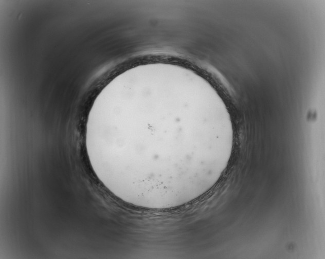 X0000102761064200808180926