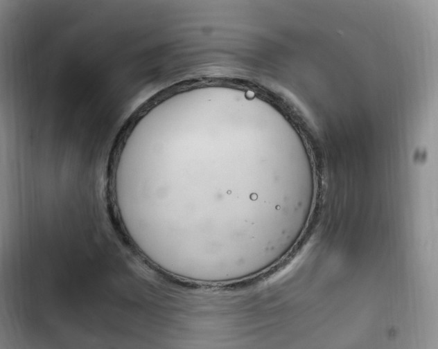 X0000102761065200808180926