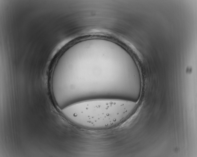 X0000102761066200808180926