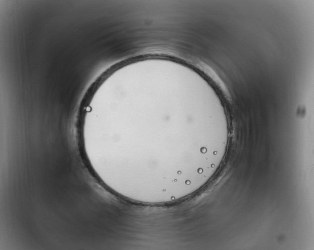 X0000102761068200808180926