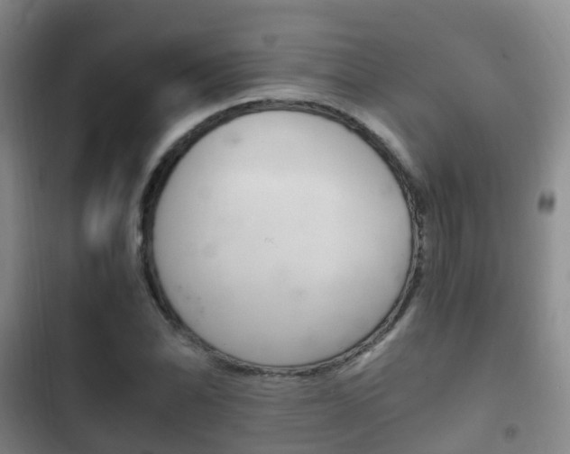 X0000102761070200808180926