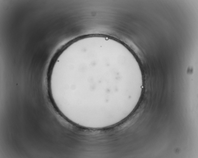 X0000102761072200808180926