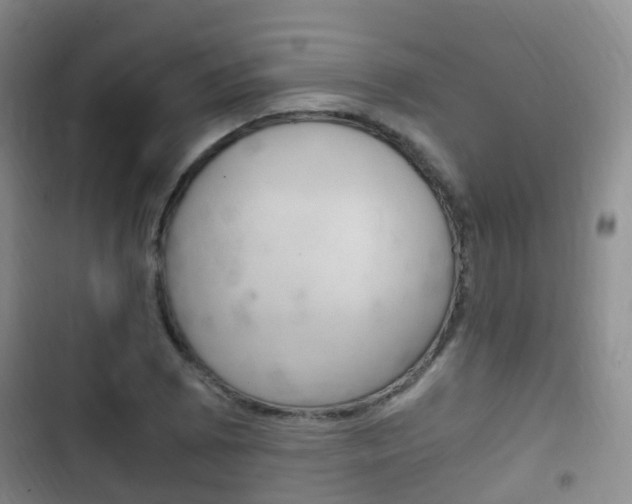 X0000102761073200808180926