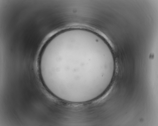 X0000102761074200808180926