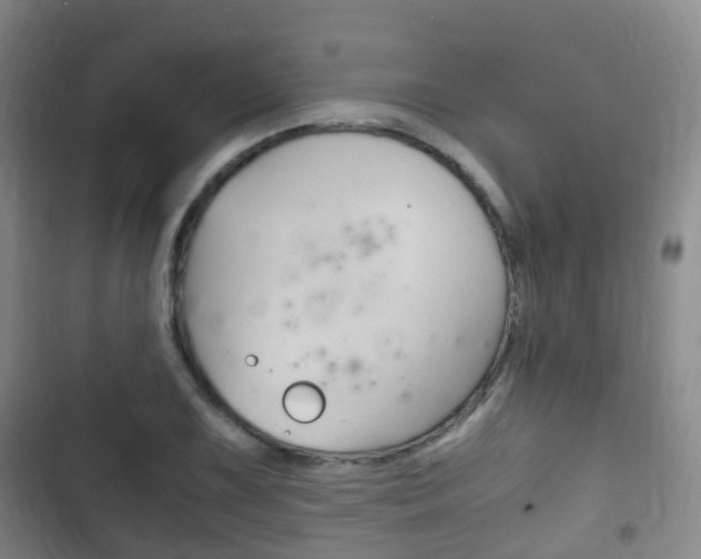X0000102761075200808180926