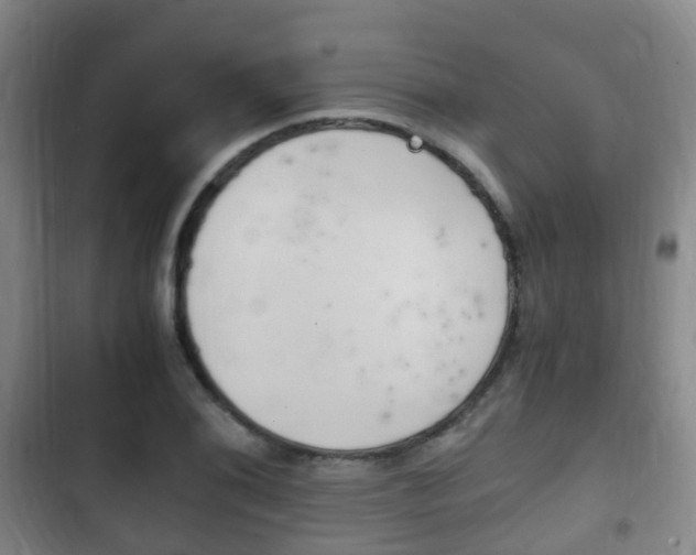 X0000102761076200808180926